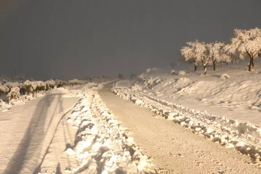 حصاد الأحداث الميدانية ليوم الأربعاء 19-01-2022