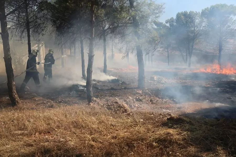 نشرة حصاد يوم الإثنين لجميع الأحداث الميدانية والعسكرية في سوريا 17-08-2020