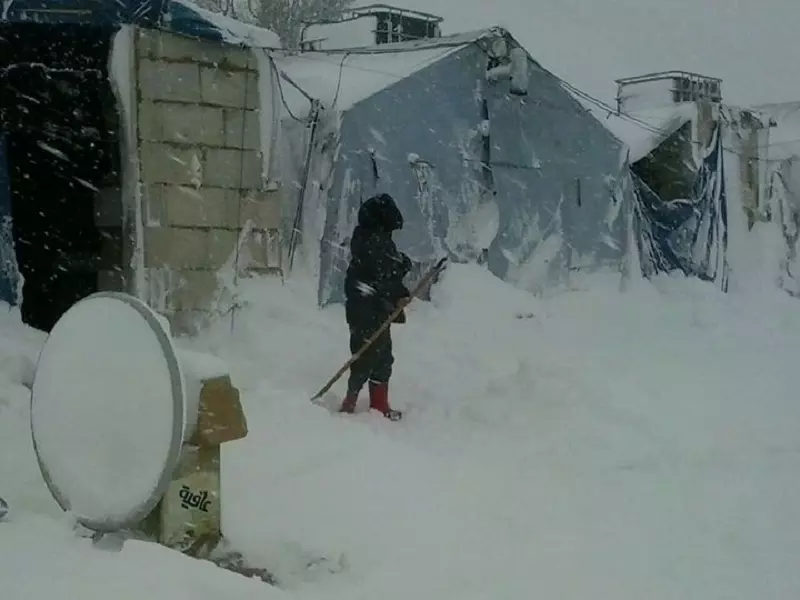 إلى الآن  ... 6سوريين شهداء البرد في لبنان........