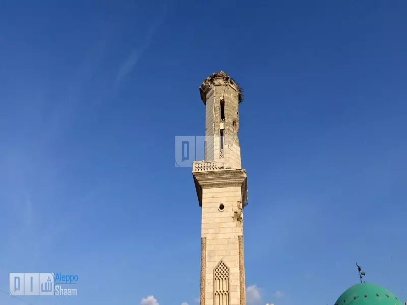 حصاد الاحداث الميدانية ليوم الثلاثاء 07-06-2016