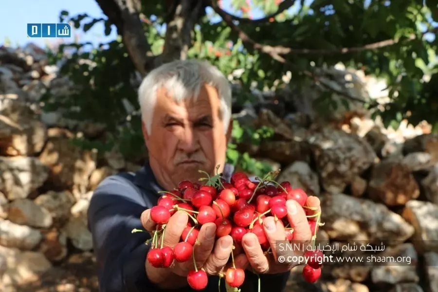 حصاد الأحداث الميدانية ليوم الأحد 30-05-2021