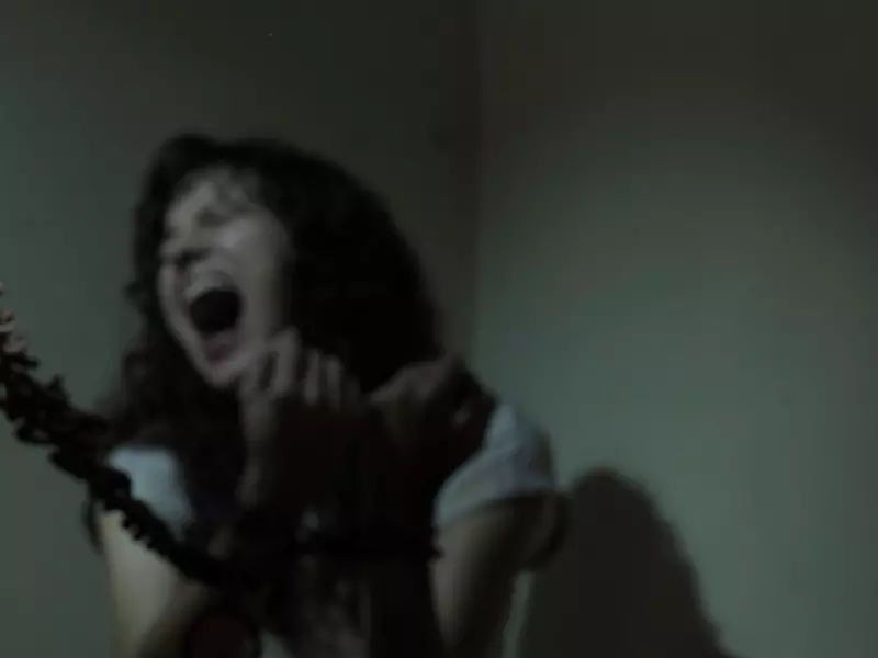 الفرع (215) نظرة من الداخل فالقضية ... "قضية شعب"