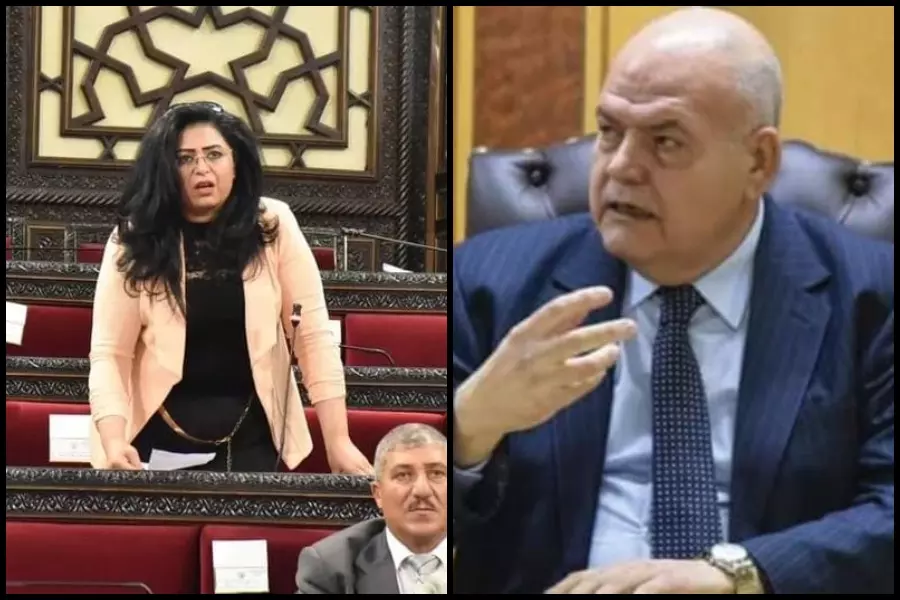 "تبريراته تشبه جرعات البنج" .. برلمانية تطالب حضور "سالم" إلى "مجلس التصفيق"