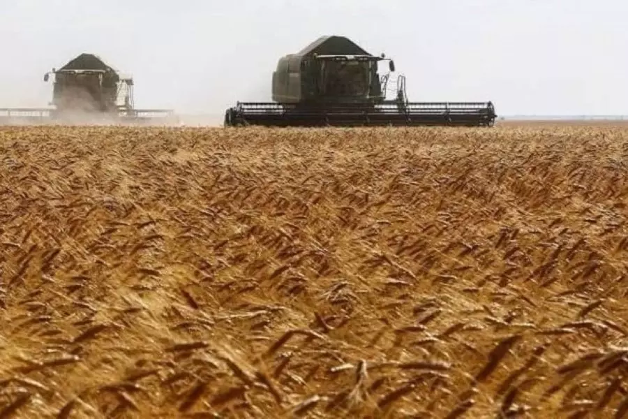 "المؤقتة" تقطع الطريق على تهريب القمح وتحدد سعر يفوق الإدارة الذاتية والنظام