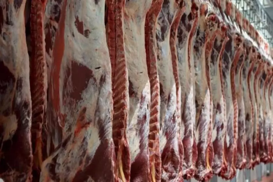 وسط انعدام الرقابة ... انتشار بيع مواد غذائية فاسدة في عدة أسواق بمناطق النظام