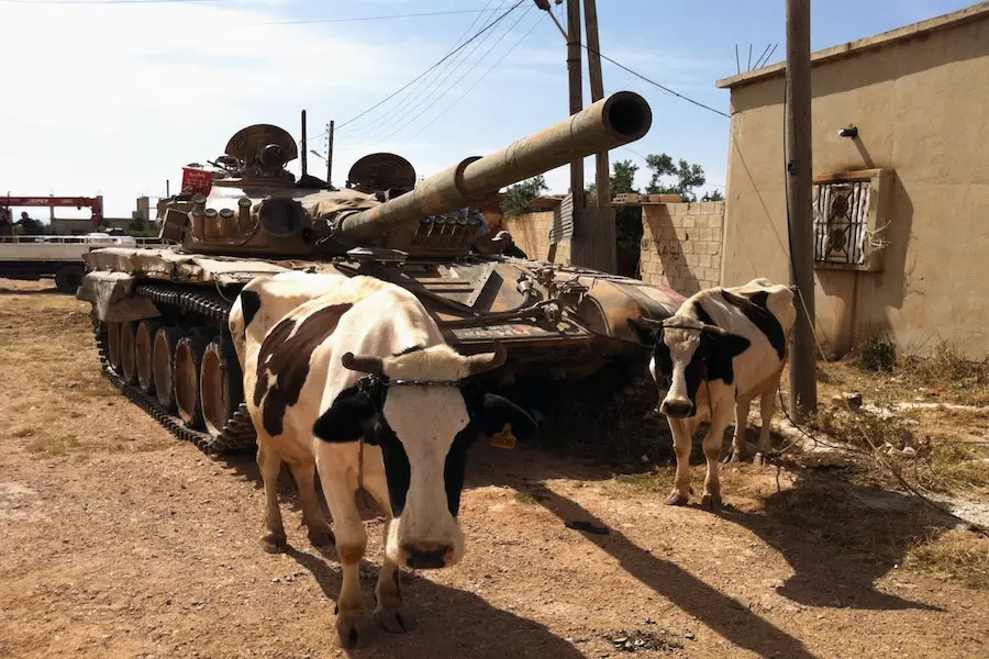 اقطعوا رأس المرتد.. هكذا يحكمون بشرع الله.!!