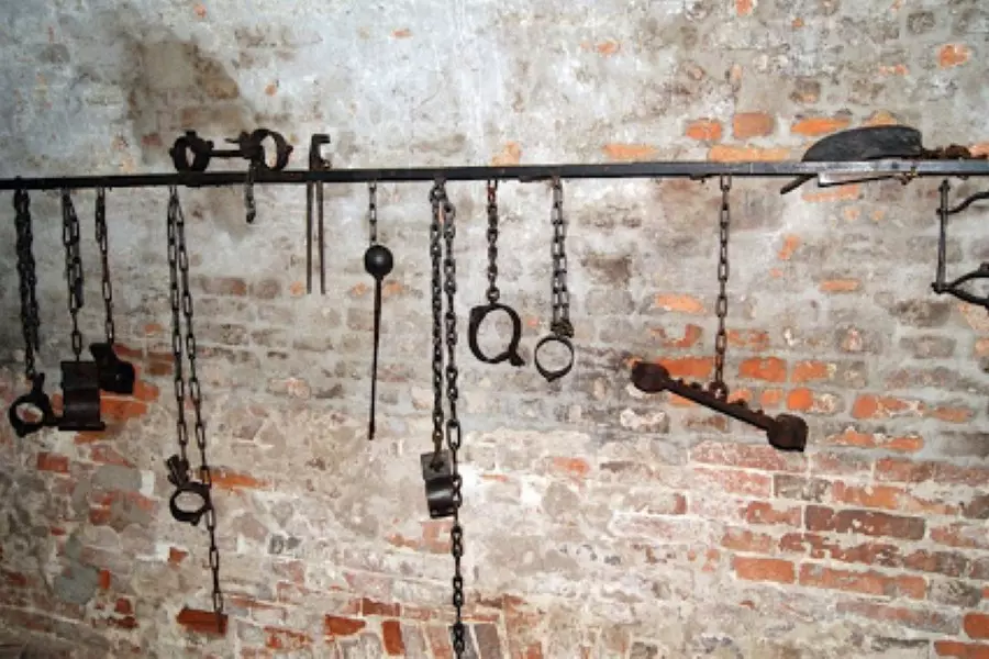 منظمة توثق مقتل 8 عناصر لـ "جيش التحرير الفلسطيني" تعذيباً في سجون الأسد