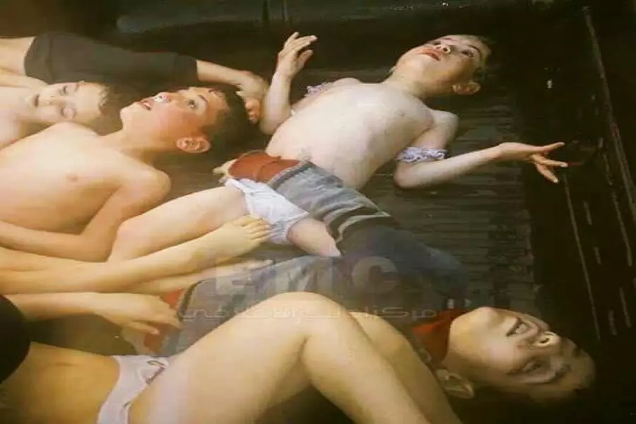 الحمام الزاجل