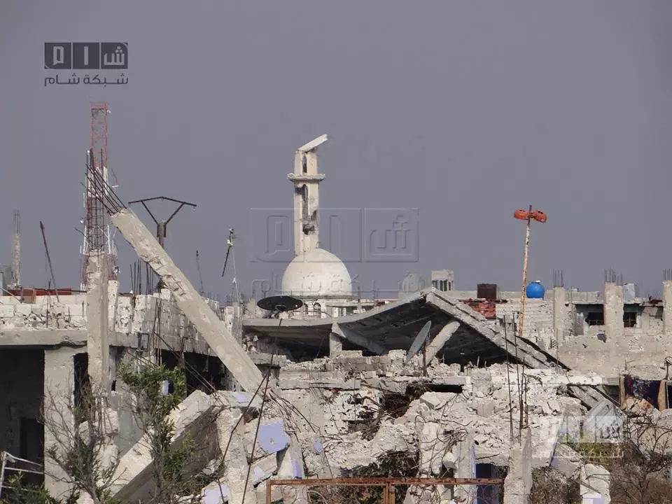 حصاد الاحداث الميدانية ليوم الجمعة 21-11-2014