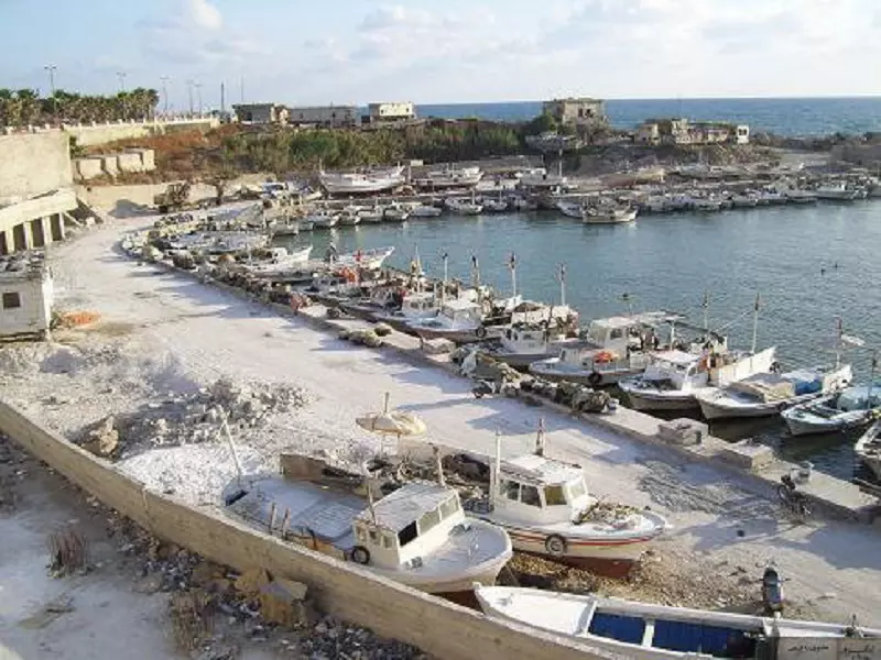 "جبلة" تتحول لمدينة أشباح