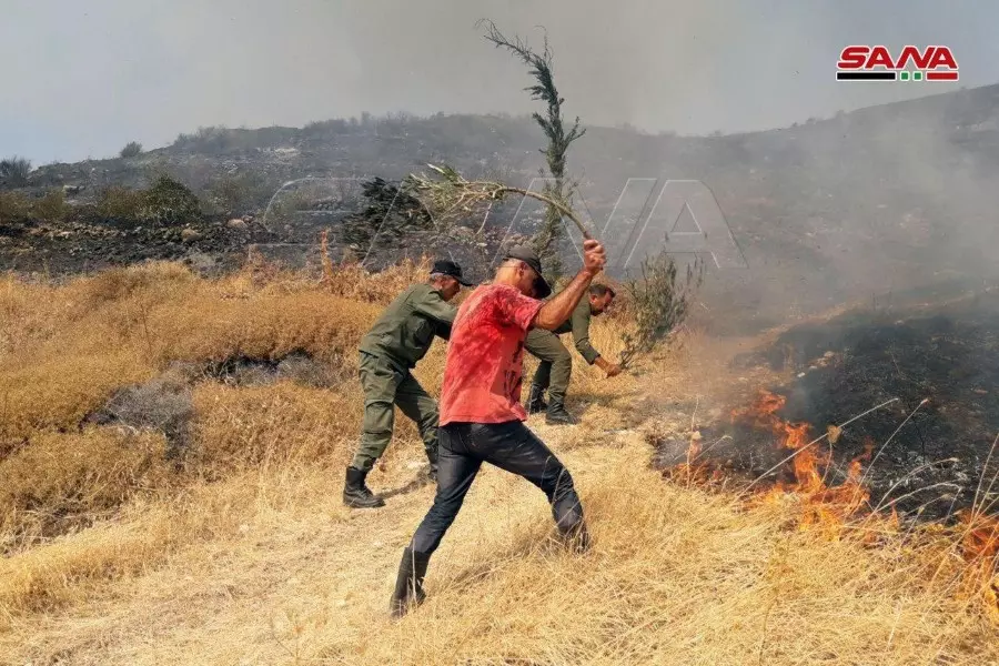 داخلية النظام تكشف عن اعتقال 6 أشخاص بتهمة التسبب بحرائق طرطوس