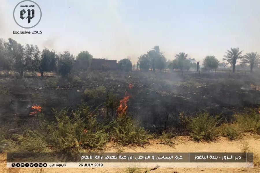 مع غياب المعنيين ... حرق الأراضي أحد وسائل المدنيين لكشف الألغام بدير الزور