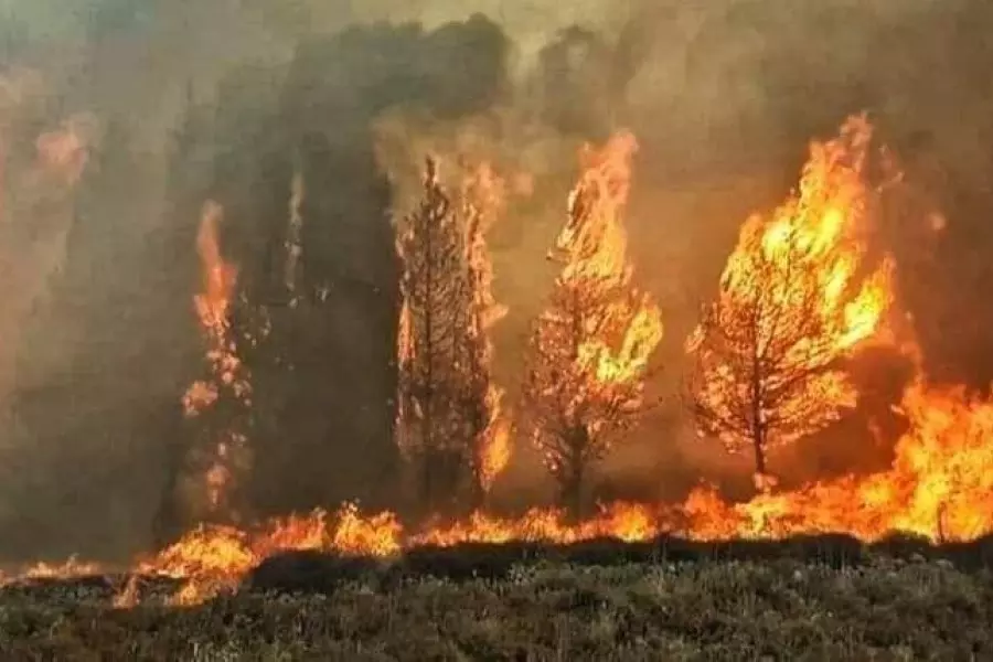 بعد عجزه ... النظام يدعو الموالين لصلاة الاستسقاء لإخماد حرائق الساحل