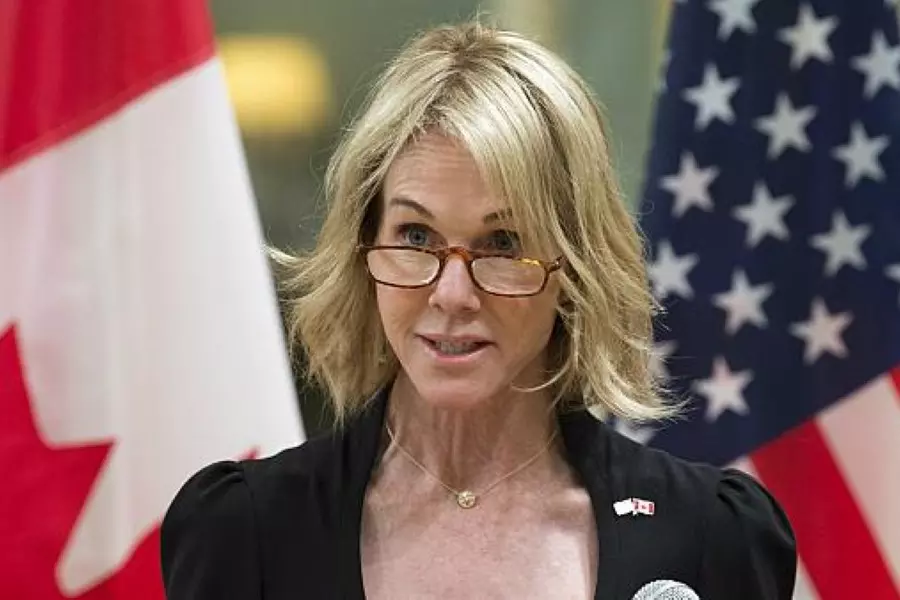 واشنطن تعتبر أن "مجلس الأمن" هو السبب في معاناة السوريين