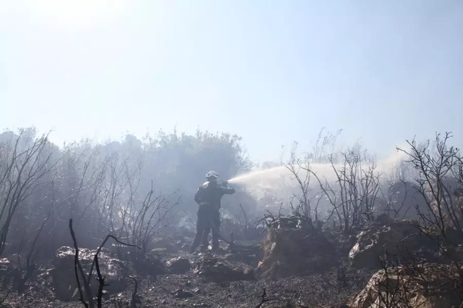 حصاد الأحداث الميدانية ليوم الأحد 05-07-2020