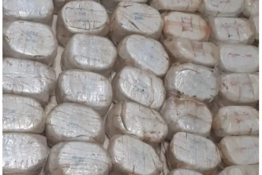 الجيش الأردني يحبط محاولة تسلل من سوريا ويضبط 140 "كف حشيش"