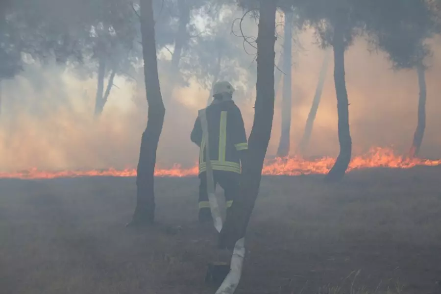 حصاد الأحداث الميدانية ليوم الثلاثاء 30-06-2020
