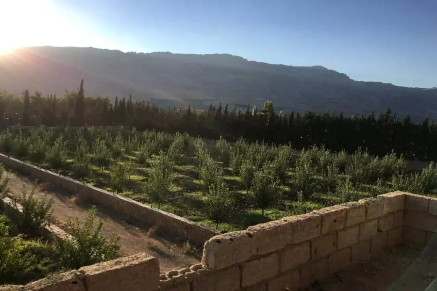 نشرة أخبار الساعة 8 مساءً لجميع الأحداث الميدانية في سوريا 08-07-2017