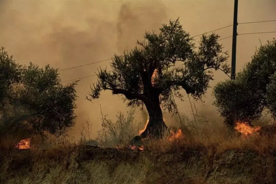 الائتلاف يحذر من مخاطر كارثية في حال انفجار مستودعات كيميائية جراء الحرائق