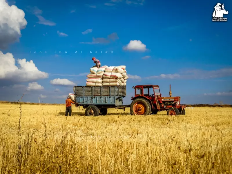 حصاد الاحداث الميدانية ليوم أمس الجمعة 24-10-2014