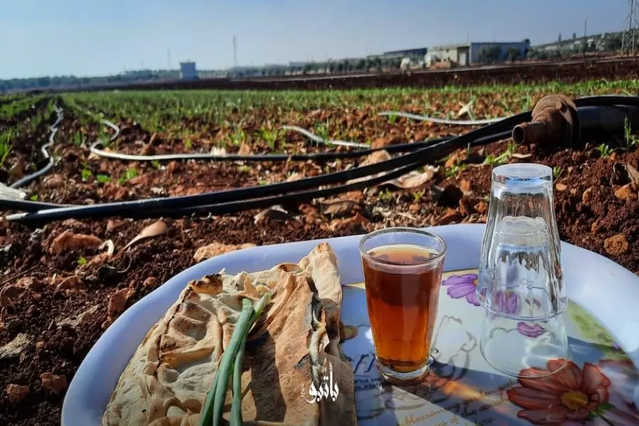 نشرة حصاد يوم الثلاثاء لجميع الأحداث الميدانية والعسكرية في سوريا 14-12-2021