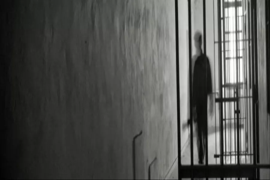 وطنٌ تُعدم أحلامنا فيه..