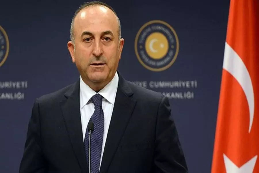 أوغلو: ترامب سيجد حلا لمشكلة "بي واي دي" .... ودرع الفرات ستتجه للرقة