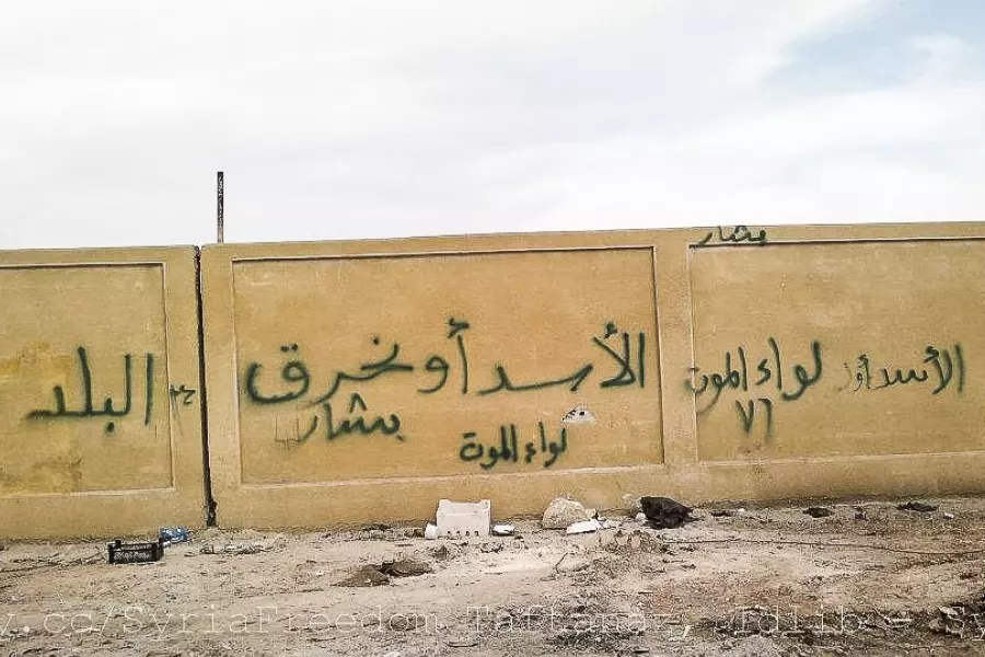 عن الأسد وحرق البلد