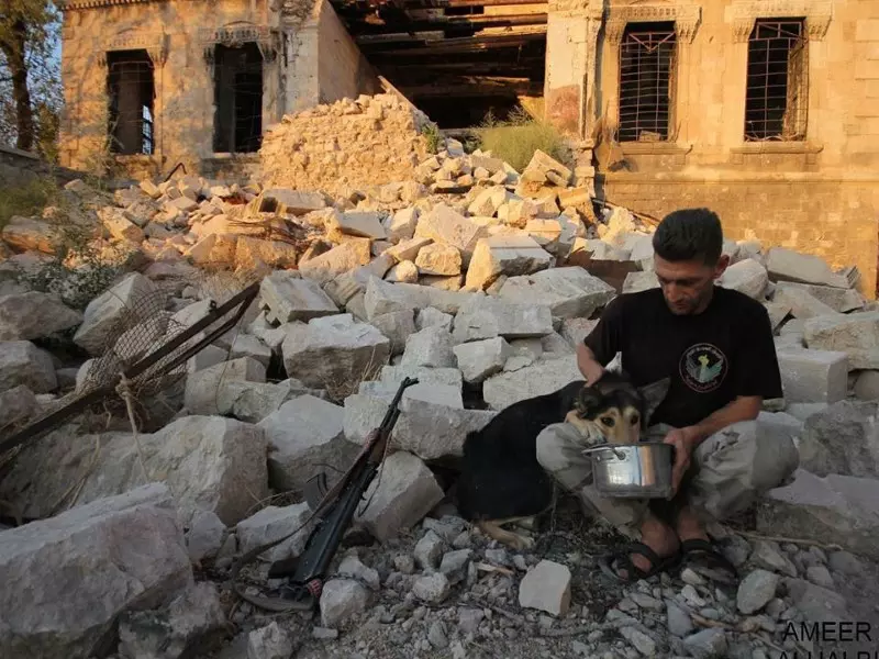 حصاد الاحداث الميدانية ليوم الأحد 04-10-2015