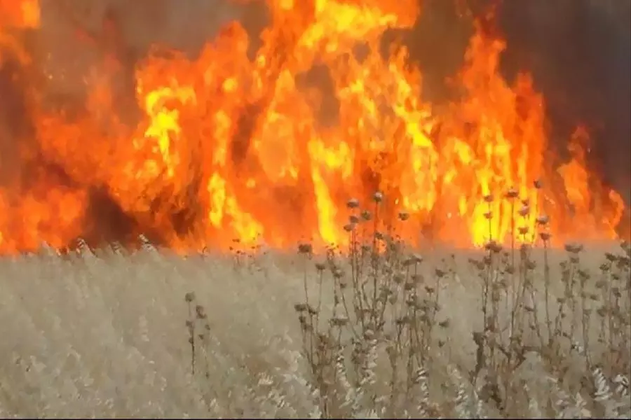 النظام يتحدث عن "النهوض الزراعي" ويطرح دراسات لتحويل "سهل الغاب لهولندا الشرق الأوسط" ..!!