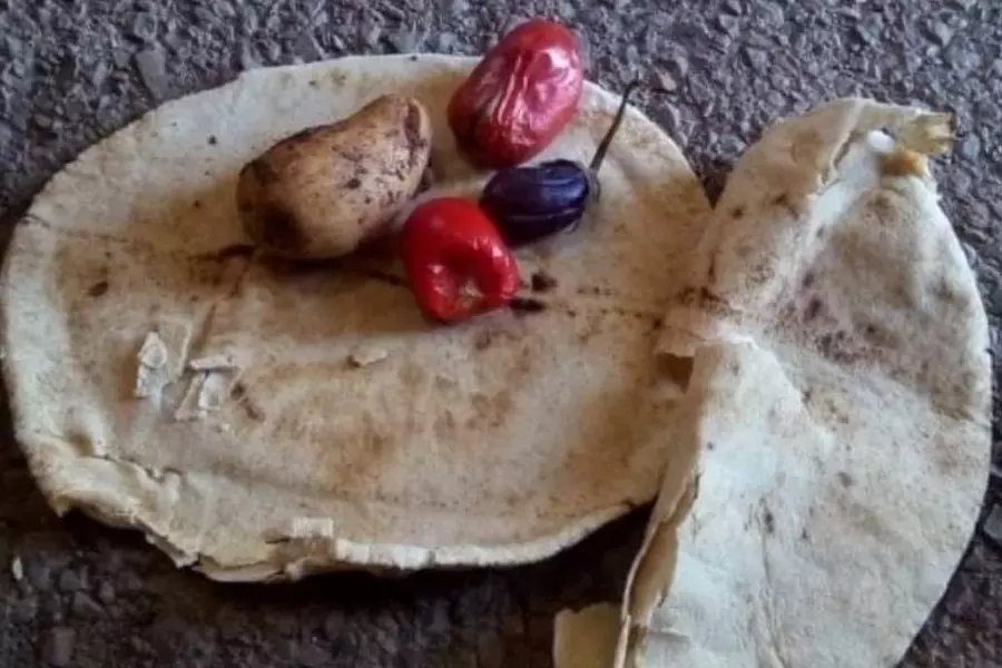 عناصر ميليشيات النظام يشكون تعفيش وجبات الطعام بالفرقة 15 في السويداء