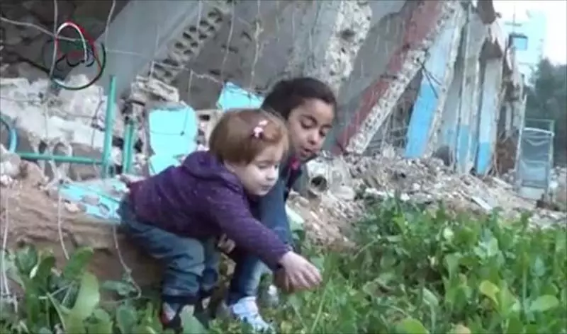 ٢٤ شهيداً بسبب سوء التغذية في " المعضمية" و حصار الموت من قبل الأسد متواصل