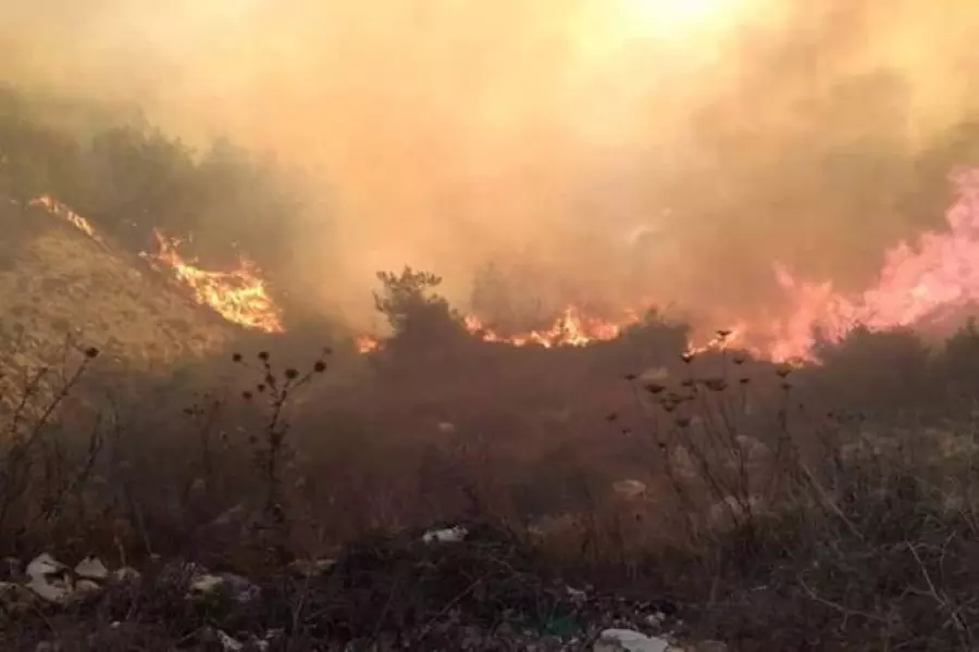 قرى بأكملها غائبة عن الإحصاء.. النظام يكشف الخسائر النهائية لحرائق الساحل ..!!