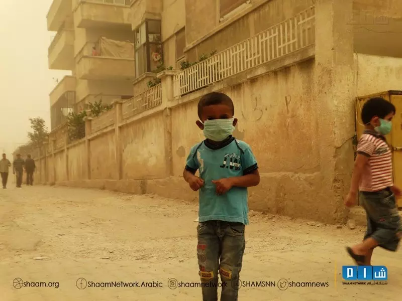 حصاد الاحداث الميدانية ليوم الثلاثاء 08-09-2015