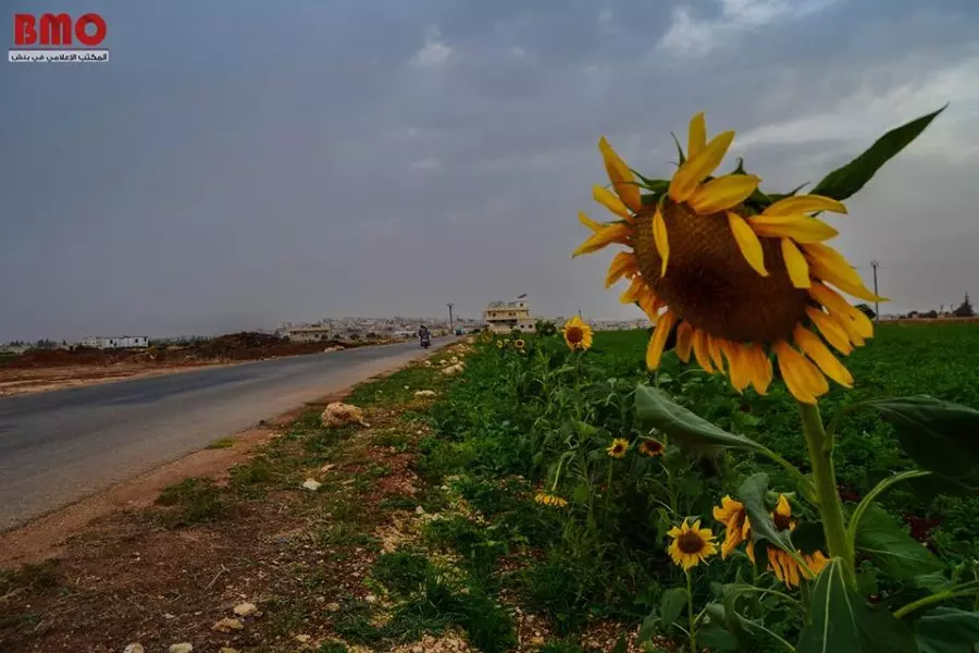 نشرة منتصف اليوم لجميع الأحداث الميدانية في سوريا 13-10-2018