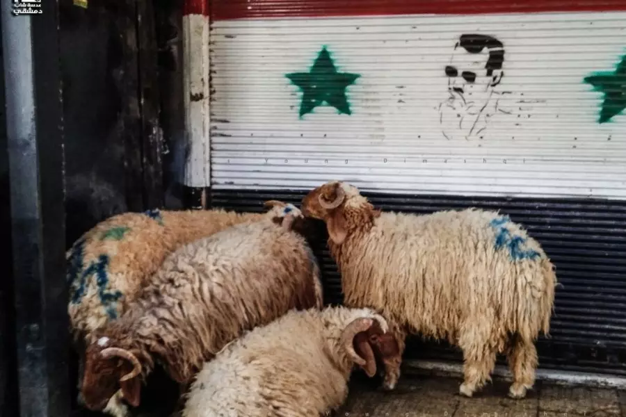 رئيس جمعية اللحامين يحمل تموين النظام مسؤولية عدم تخفيض أسعار اللحوم