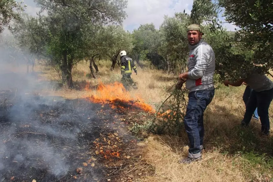 حصاد الأحداث الميدانية ليوم الثلاثاء 02-06-2020