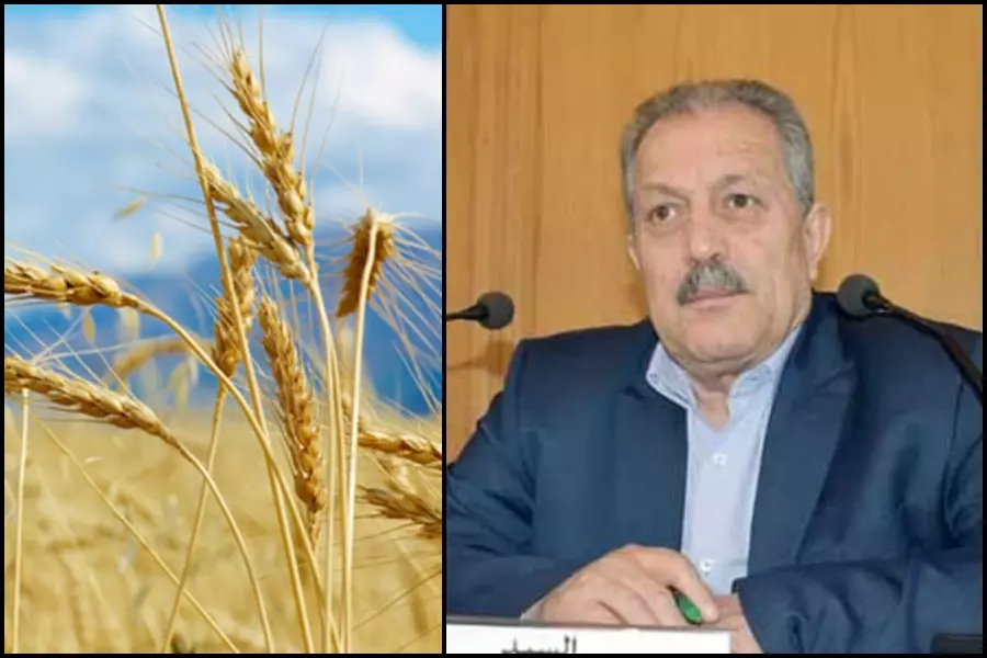 النظام يطلق مناقصة لاستيراد القمح ومسؤول سابق يتهم "عرنوس" بإفشاء أسرار الدولة