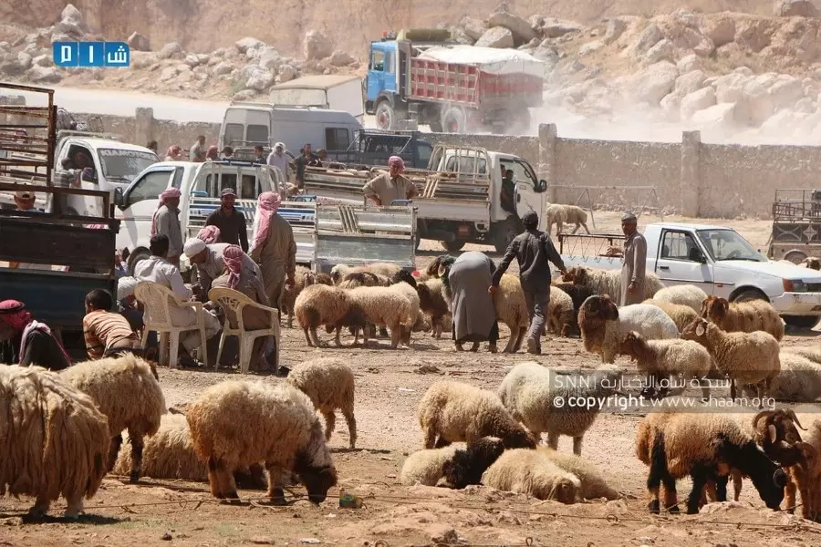 حصاد الأحداث الميدانية ليوم الأحد 18-07-2021