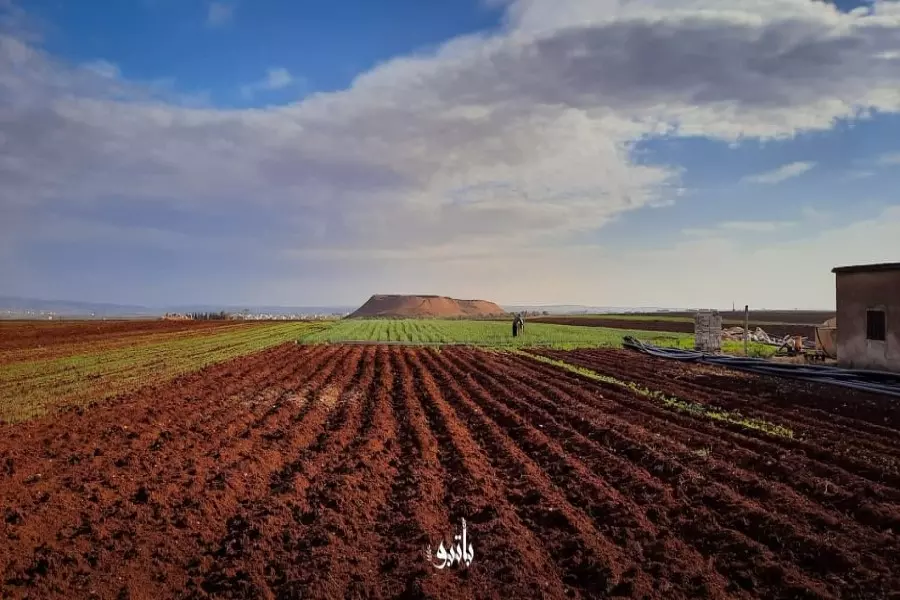 حصاد الأحداث الميدانية ليوم السبت 29-01-2022