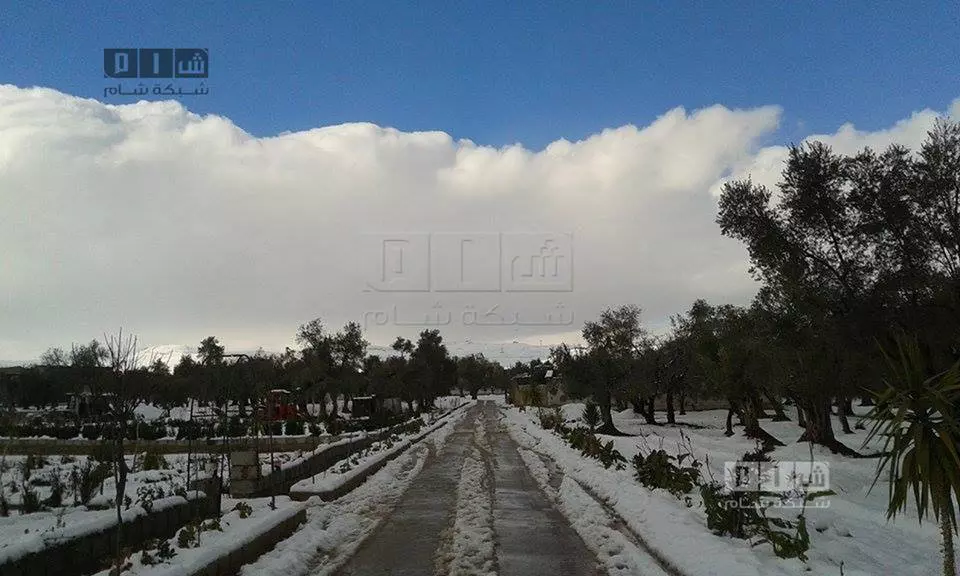 حصاد الاحداث الميدانية ليوم السبت 10-01-2015