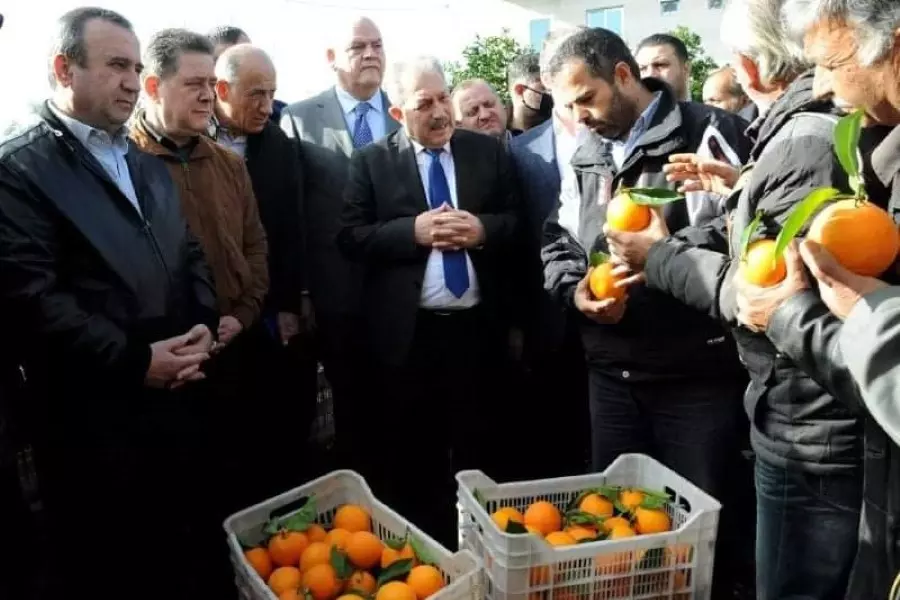 مع تلاشي وعود حكومة النظام .. مسؤول يُكذب آخر: "لا عقود تصديرية جديدة للحمضيات"