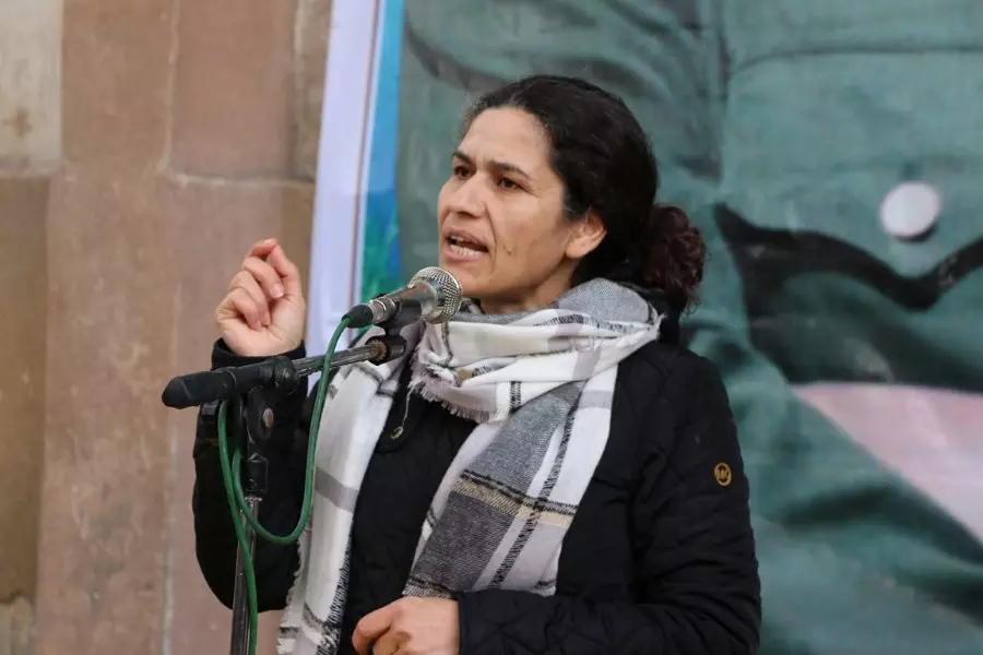 إلهام أحمد تهاجم "هيئة التفاوض واللجنة الدستورية" وتطالب بتغيير تشكيلتها