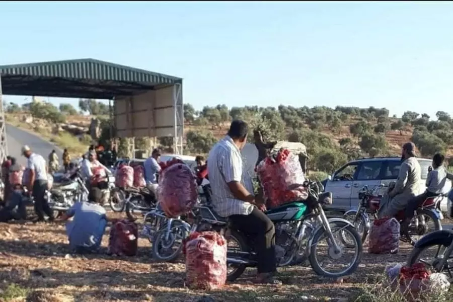 أزمة أخلاق على معابر "الجو.لاني" .. منع دخول "الفليفلة والملوخية" بين "دولتي عفرين وإدلب"