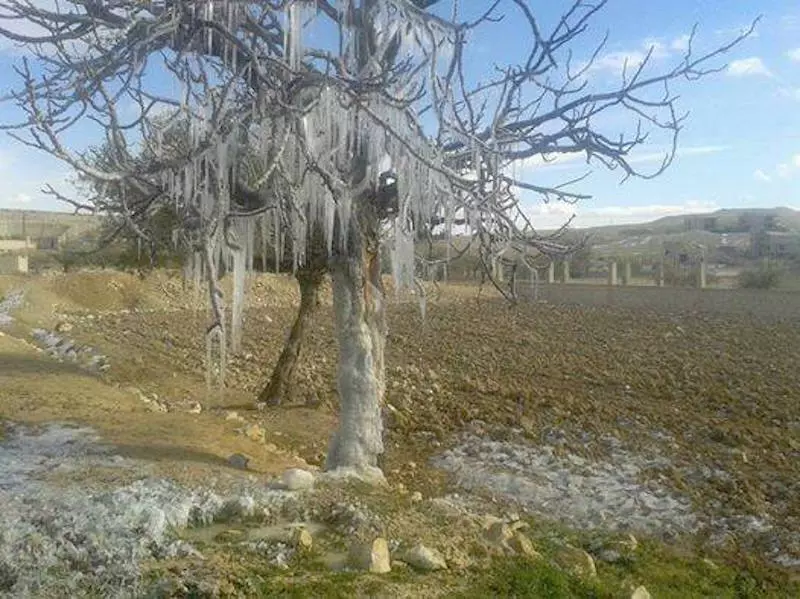 مدينة التل بين حصار الأسد وموجة الصقيع