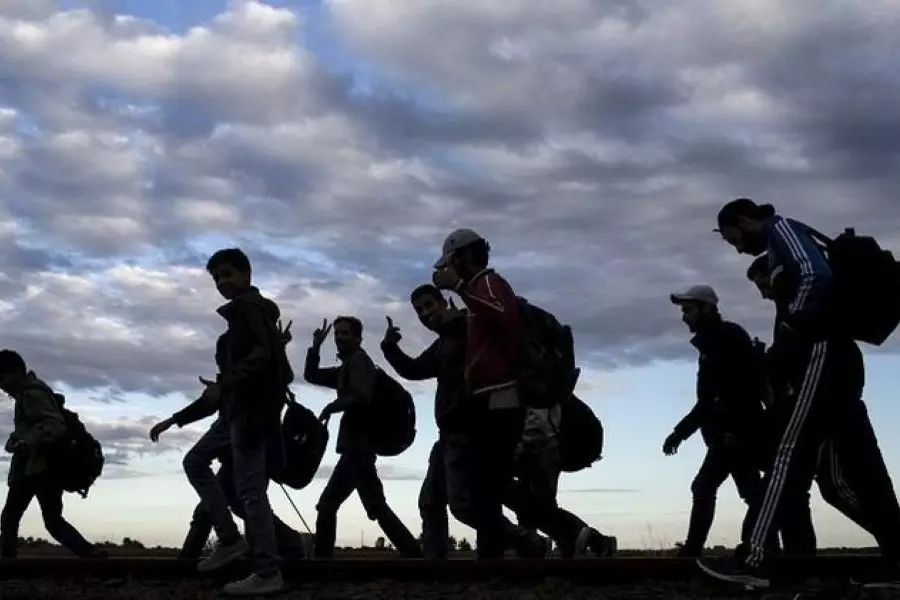 دراسة: انعدام الأمن الغذائي وتراجع سبل العيش يدفع المزيد من السوريين للهجرة