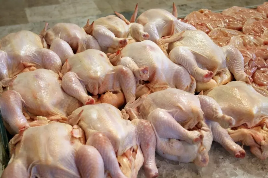 وسط توقعات رفع سعره .. "سالم" يعلن طرح الفروج عبر الصالات التجارية وموالون يعلقون