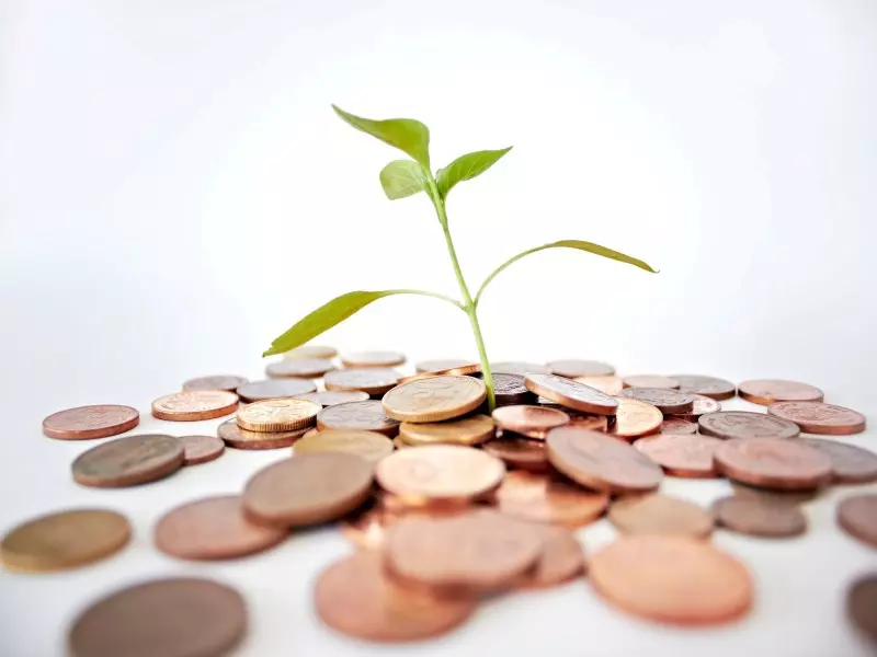 تقرير شام الاقتصادي 23-10-2014