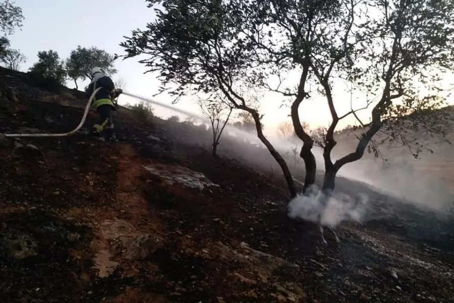 نشرة حصاد يوم الجمعة لجميع الأحداث الميدانية والعسكرية في سوريا 24-07-2020