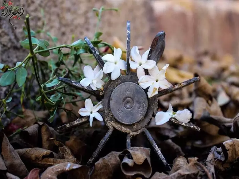 حصاد الاحداث الميدانية ليوم الثلاثاء 01-12-2015